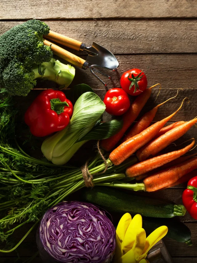 Best Foods Every Yoga Practitioner Must Include in Their Diet